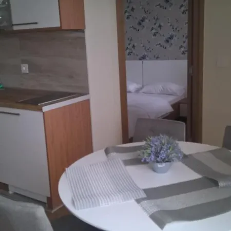 307 U Borova Apartment Zlatibor