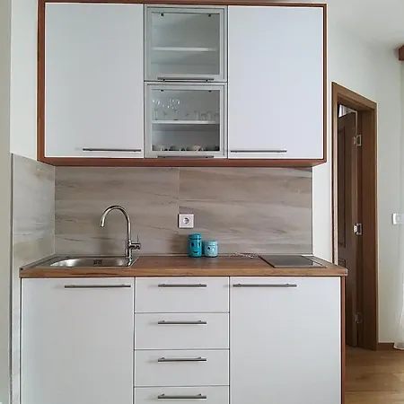 307 U Borova Apartment *