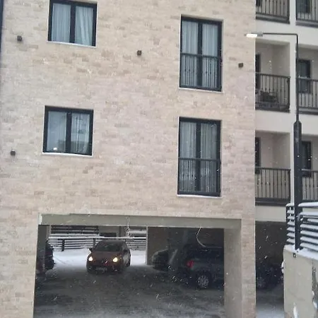 Apartment 307 U Borova *