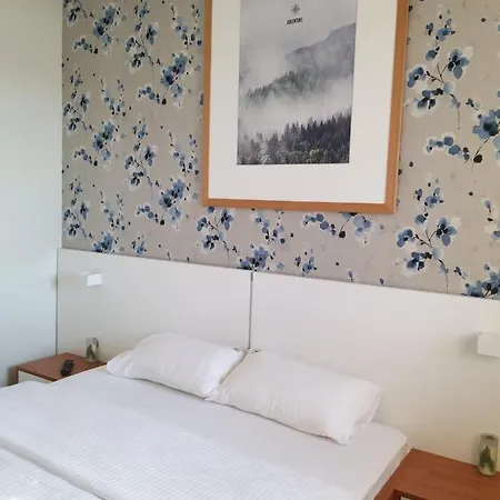 307 U Borova * Zlatibor