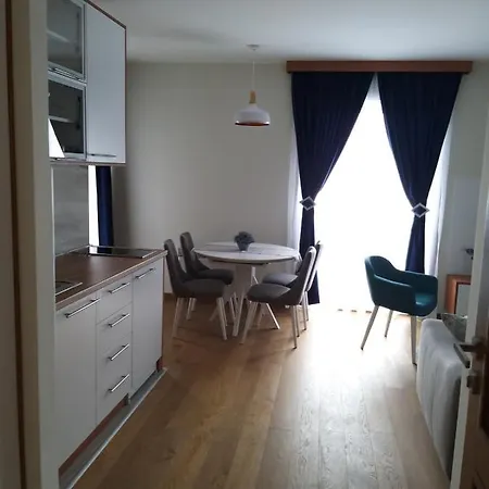 307 U Borova Appartamento