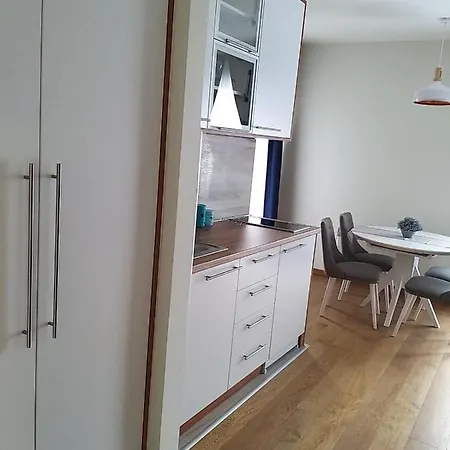 307 U Borova Appartamento