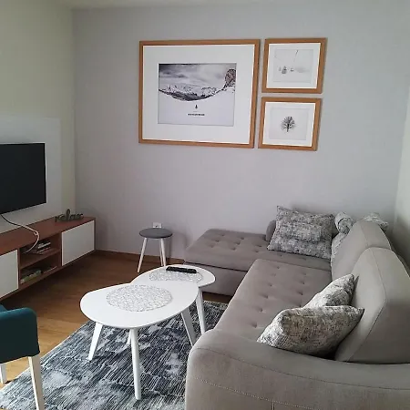 Apartment 307 U Borova *